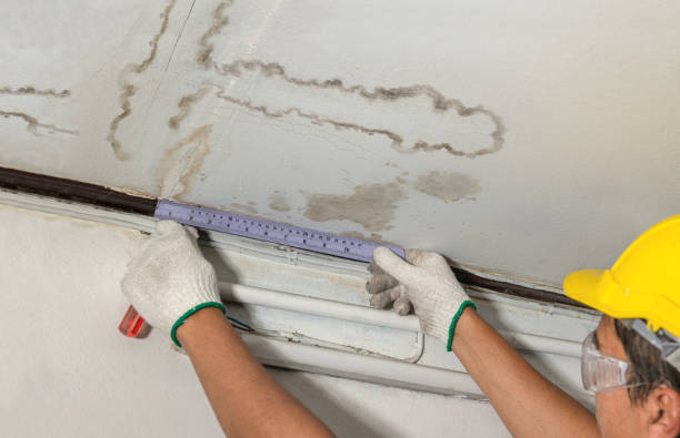 Affordable Ceiling Water Damage Repair solutions in Haddonfield, NJ
